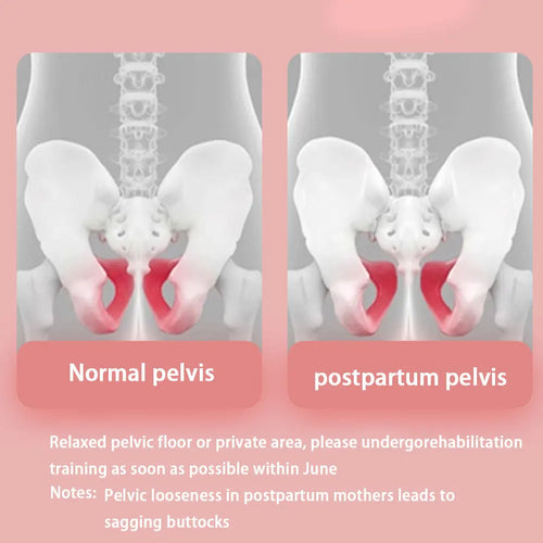 Adjustable Pelvic Floor & Kegel Trainer for Women's Home Gym